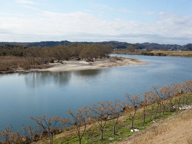 夏井川河口　上流方向の眺め