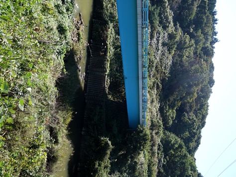 島崎川