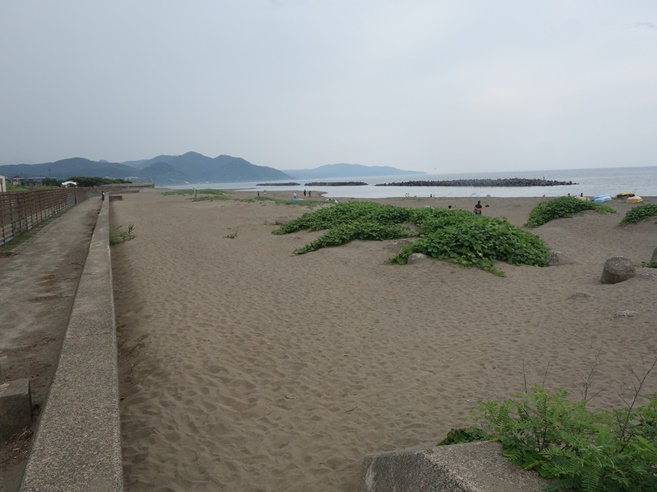 関川の左岸